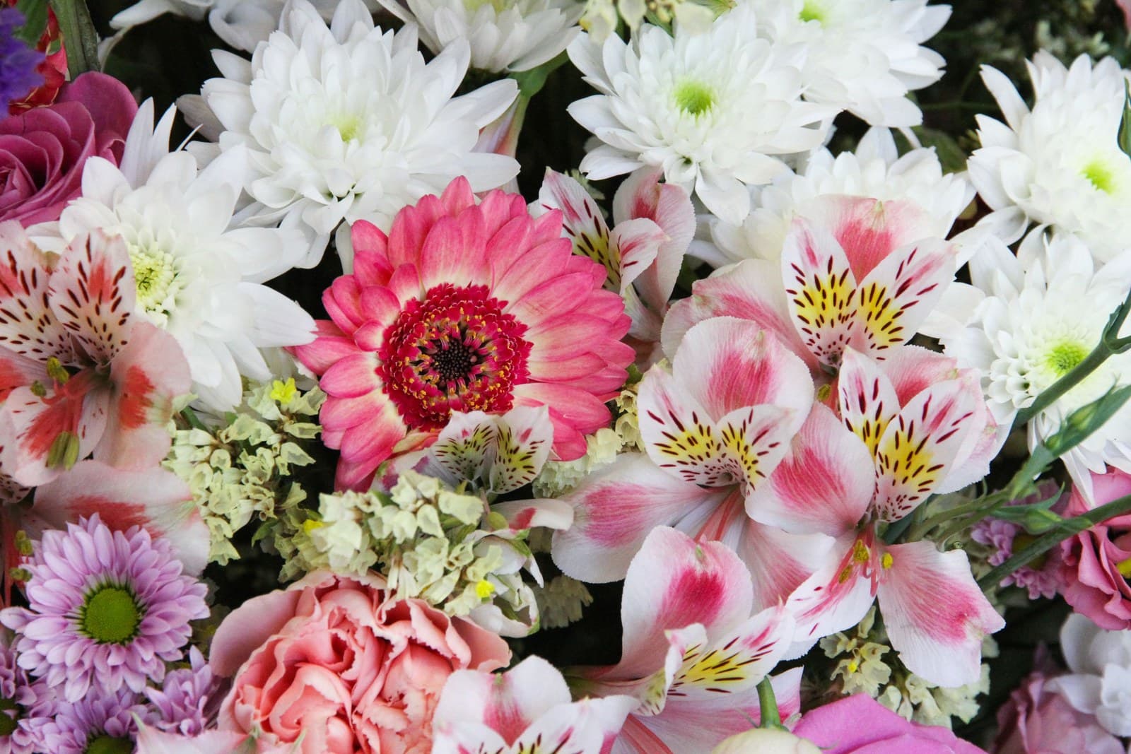Primer plano de un ramo de flores variadas —crisantemos blancos, gerberas rosas y alstroemerias— en distintos tonos y formas